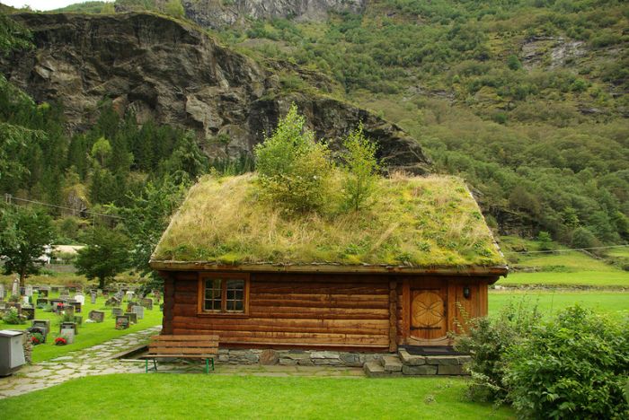 Acoperișuri verzi în Norvegia (Foto)