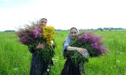 Invatatura Sfintilor Parinti despre plantele medicinale