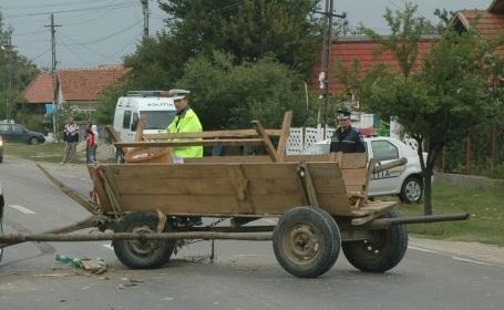 Căruţaşii vor fi obligaţi să-şi înregistreze vehiculele, chiar şi cele trase de măgăruşi