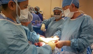 Transplanturile de organe şi învierea cea de obşte