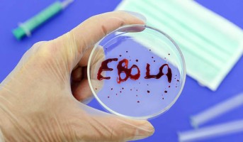 Gripa Ebola poate acţiona ca o armă biologică