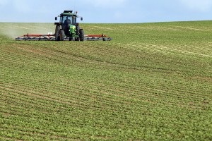 Jumătate din pământul agricol al României a fost cumpărat de străini. Românii sunt arendaşi şi producţia ajunge la export