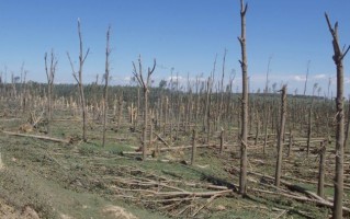 Viitorul climatic al Republicii Moldova: fenomene extreme şi doar două anotimpuri