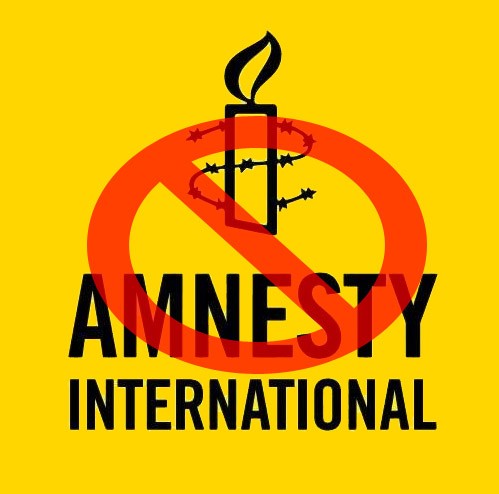 Amnesty International, acuzată că apără interesele proxeneţilor