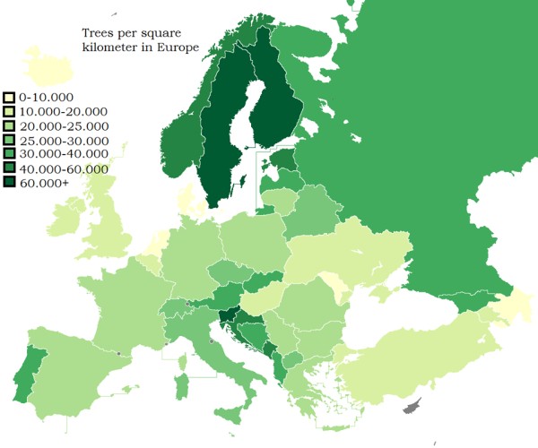 Moldova – una dintre țările din Europa cu cei mai puțini copaci pe kilometru pătrat