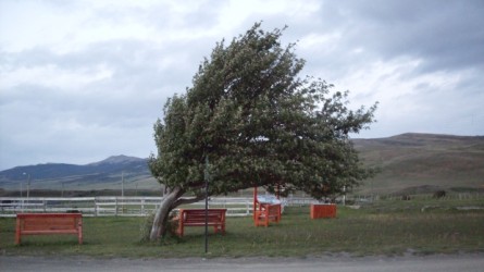 Fenomene meteo extreme în Spania! Mai multe oraşe au fost măturate de vânt