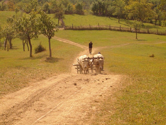 Cine doreşte mântuirea şi, în numele ei va părăsi confortul şi comodităţile oraşului plecând într-un loc pustiu, va fi într-o siguranţă mai mare