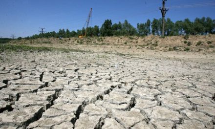 Meteorologii trag un semnal de alarmă asupra faptului că în următoarele decenii România se va confrunta cu fenomene climatice ieşite din comun