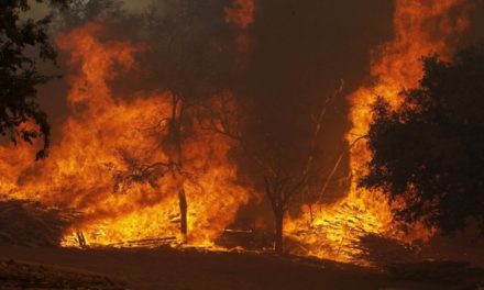 DUREREA PĂMÎNTULUI… Cataclisme naturale care au avut loc în perioada 22-28 iunie. Video