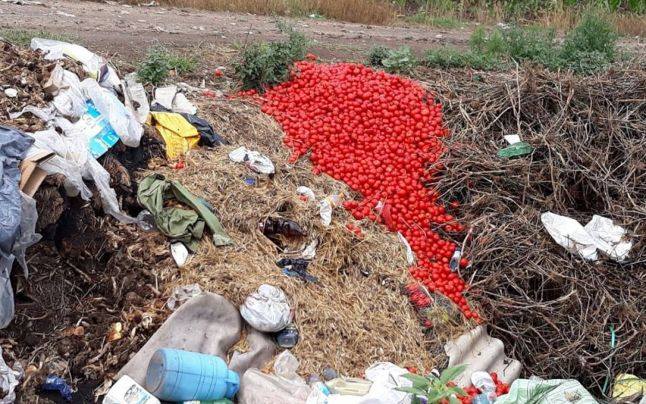 Supermarketurile au învins agricultorii români: Producătorii au ajuns să-şi arunce producţia la gunoi