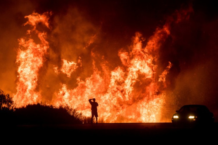 Ultima oră! Căldura insuportabilă produce o serie de incendii de vegetație peste tot în lume