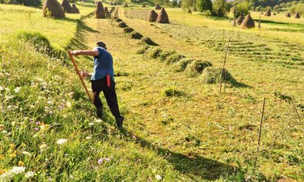 Lucreaza în duminici şi sarbatori şi vin peste ei nenorocirile