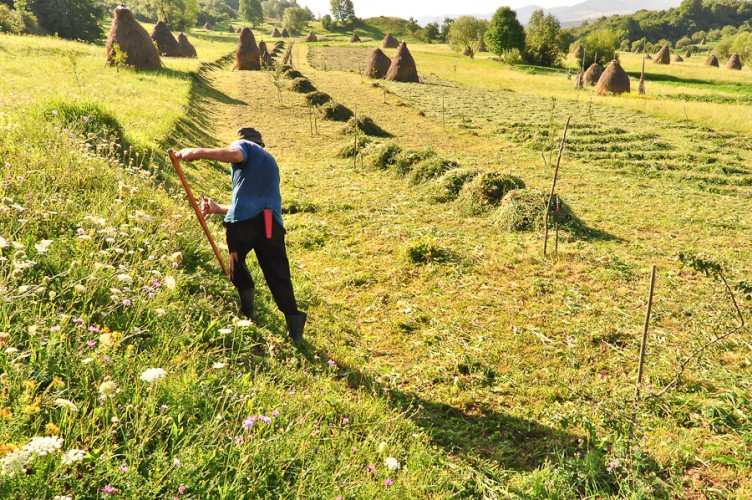 Lucreaza în duminici şi sarbatori şi vin peste ei nenorocirile