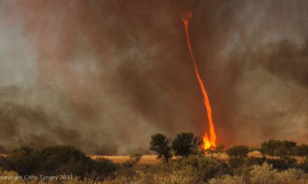 Fenomene noi: Tornade de foc cu temperaturi de 1500 grade Celsius