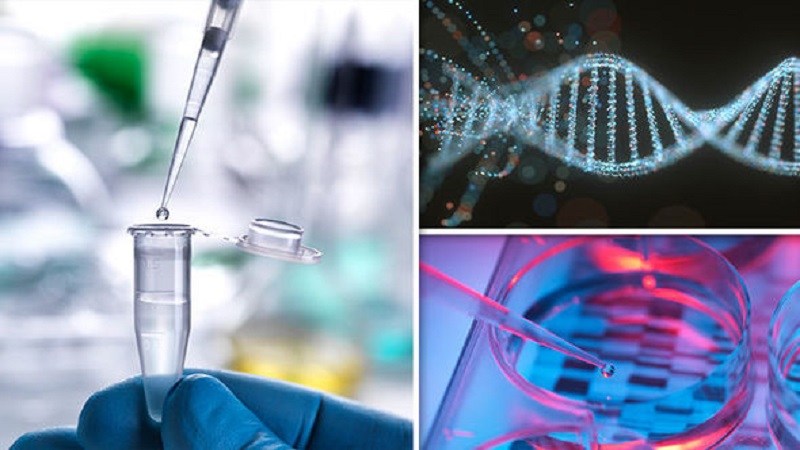 Joaca de-a Dumnezeu: Un cercetător chinez susține că a creat primii copii modificați genetic