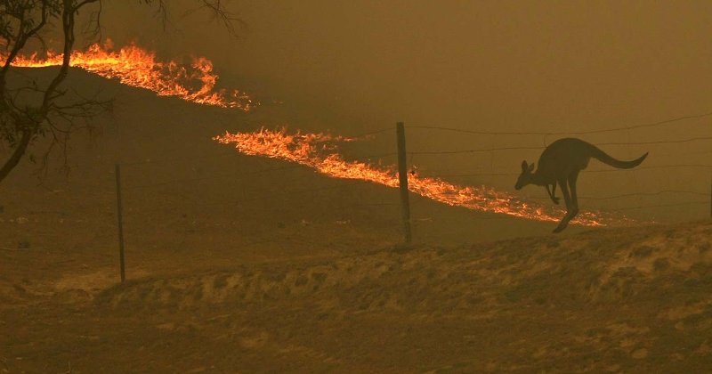 Fenomen straniu! Pământul unei ferme de vite din nordul Australiei arde mocnit de mai multe zile. VIDEO