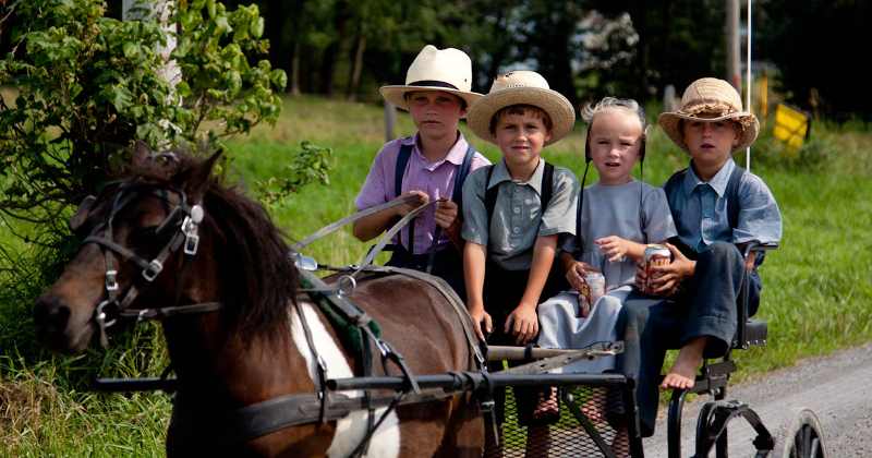 De ce copiii AMISH nu sufera de autism, astm, alergii, cancer sau boli de inima?