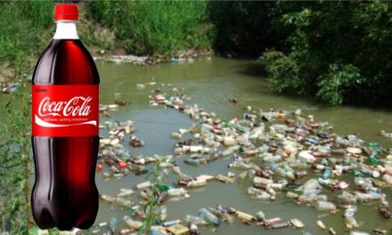 Coca-Cola produce anual milioane de tone de ambalaje din plastic, obţinînd profituri uriaşe, în timp ce lumea pur şi simplu se îneacă în deşeuri