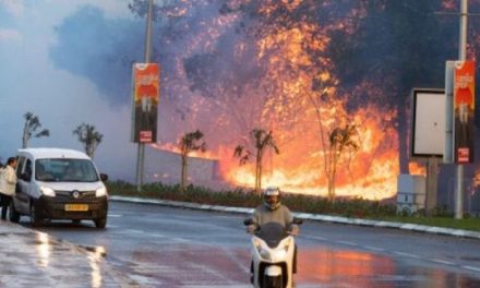 Temperaturi de aproape 50 de grade Celsius în Israel. Incendiile de pădure devastează regiuni din centrul țării