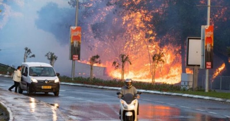 Temperaturi de aproape 50 de grade Celsius în Israel. Incendiile de pădure devastează regiuni din centrul țării