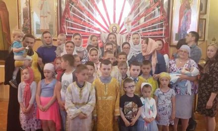 Enoriaşi ai Bisericii Ucrainene Ortodoxe canonice din regiunea Cernăuţi se roagă să nu fie lipsiţi de biserică