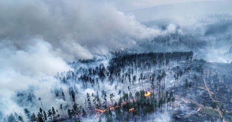 Incendiile forestiere sunt spercial provocate. Au incendiat Siberia pentru a provoca genocid