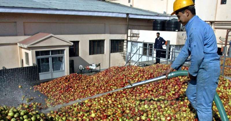 România: Protecția Consumatorului sfătuiește evitarea fructele care arata perfect, căci ar putea fi tratate cu pesticide periculoase