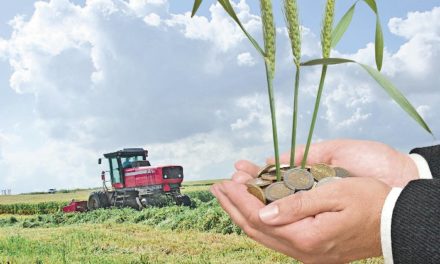 Agricultorii din Republica Moldova riscă să rămână în anul viitor fără subvenții