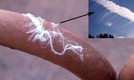 Praful inteligent şi Morgellons împrăştiat prin intermediul CHEMTRAILS?