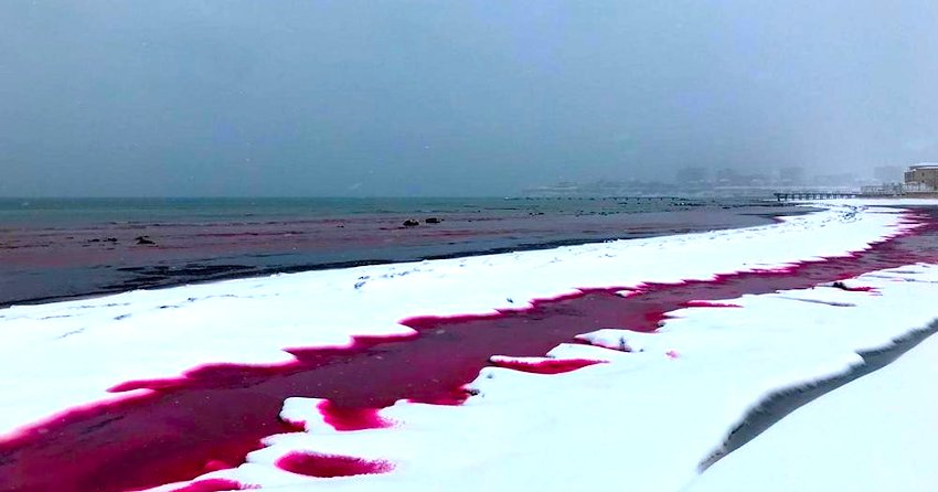 Semnele vremurilor. Apa din marea Caspică a devenit roşie ca sîngele. VIDEO