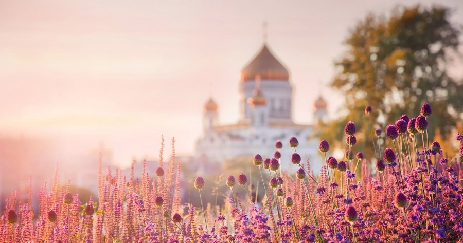 Sfântul Paisie Aghioritul despre cum se conduce Biserica