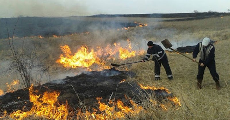 Numărul incendiilor de vegetație continuă să crească de la o lună la alta