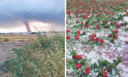 În a 13 zi de vară… Apocalipsa în statele CSI. Tornado, grindină, uragan. VIDEO