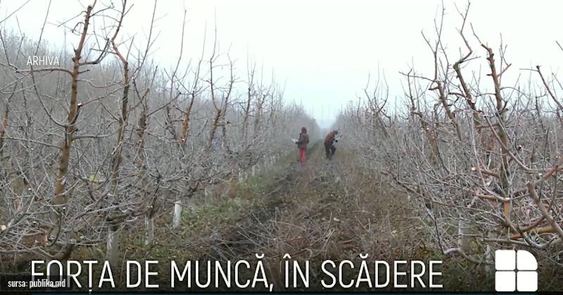 Forţa de muncă este în scădere în Republica Moldova