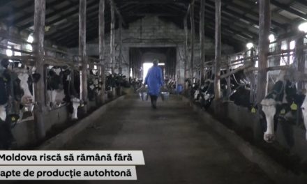 Sectorul zootehnic din Republica Moldova riscă să se ruineze