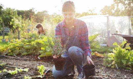 Amprenta de carbon – un pretext numai bun pentru INTERZICEREA grădinilor personale